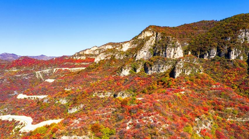 河北省涉县庄子岭红叶大峡谷秋景。 杨彦忠摄